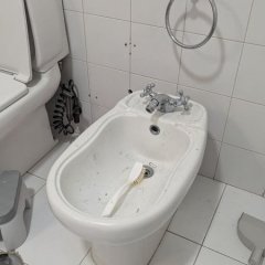 Bidé antigo antes da remoção