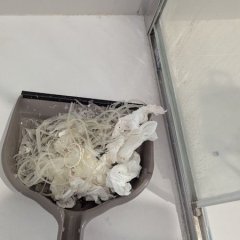 O silicone velho já foi removido.