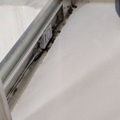 O silicone antigo, infestado de bolor.